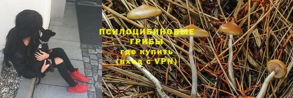 сатива Алексин