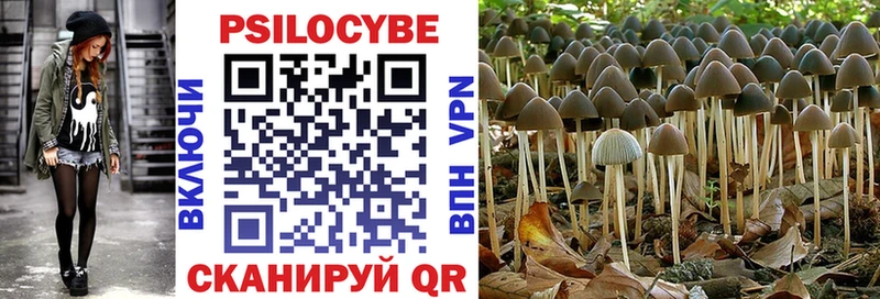 даркнет сайт  Макушино  blacksprut ССЫЛКА  Галлюциногенные грибы Psilocybine cubensis 